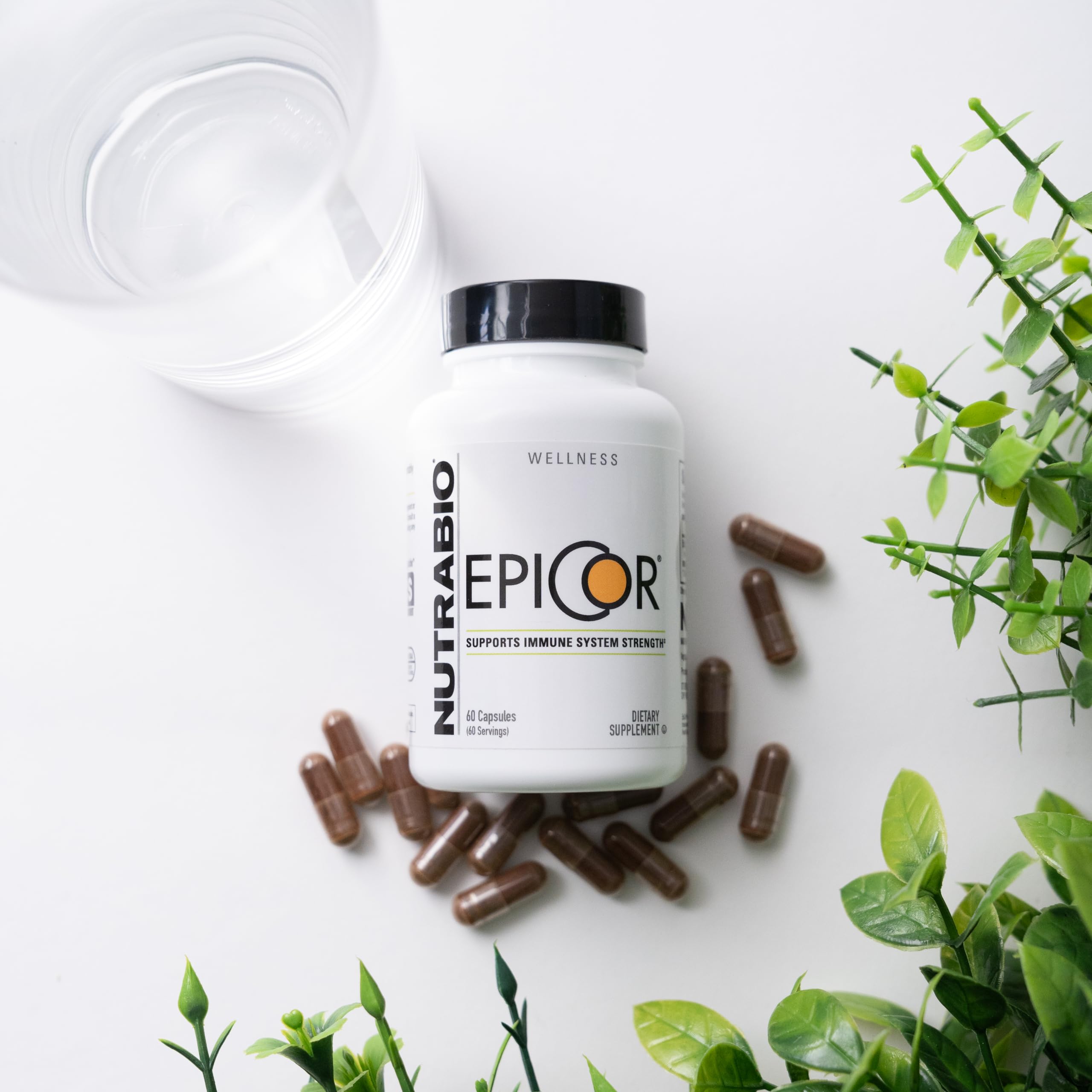 NutraBio Epicor Multi Vitamin - Prebiotic - Antioxidant Support - Independent Lab Tested - 500mg - 60 Vegetable Capsules - Image 4