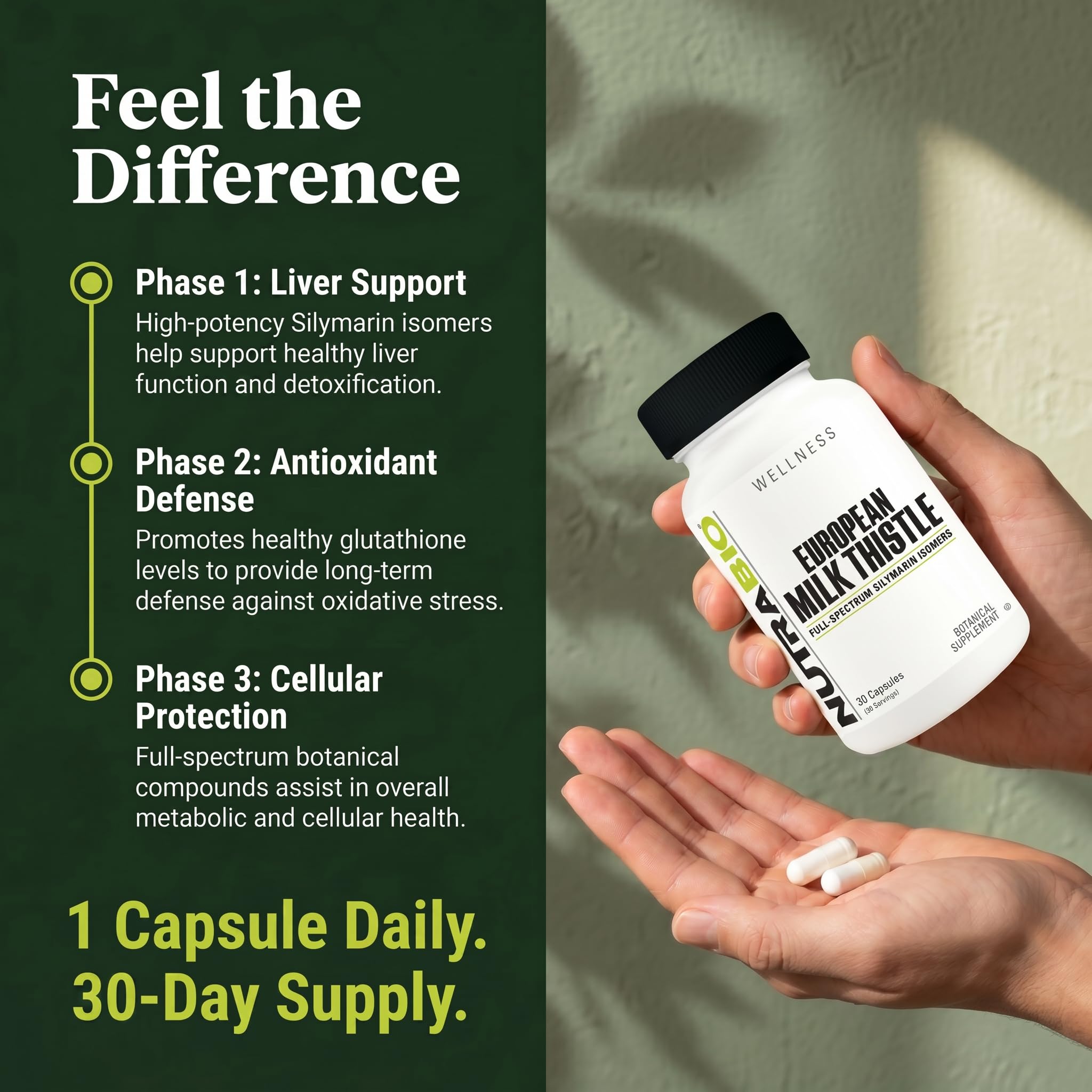 NutraBio European Milk Thistle Supplement, 241mg - Supports Antioxidant Benefits and Wellness for Liver Detox, 90 Capsules, 80% Silymarin Extract, Herbal Supplement - Image 7