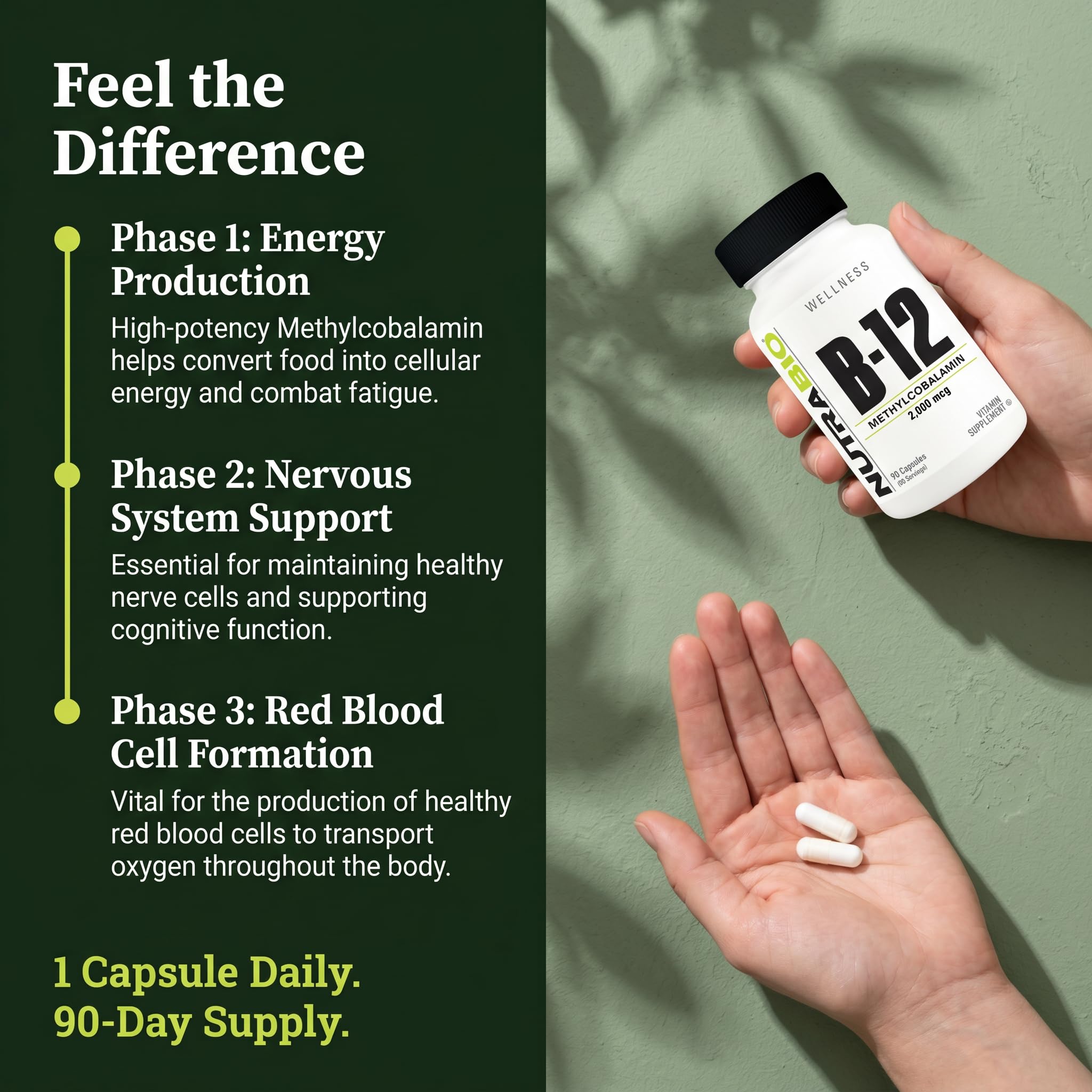 NutraBio Methyl B-12 Vitamin Supplement, 2000mcg – Promotes Cellular Health and Wellness, 90 Vegetable Capsules - Image 5